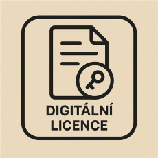 Panic Flight (PC) klíč Steam