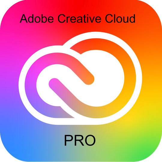 Adobe Creative Cloud Pro PLUS for teams MP ML (+CZ) Government 1 User, 12 Months, Level 1, 1-9 Lic