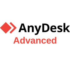 AnyDesk Advanced, 1 rok