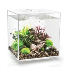 Akvarium BIORB CUBE LED bile 30l Akvarium BIORB CUBE LED bile 30l