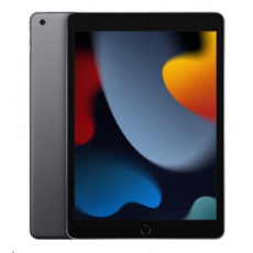 APPLE iPad 10.2" (9. gen.) Wi-Fi 256GB - Space Grey