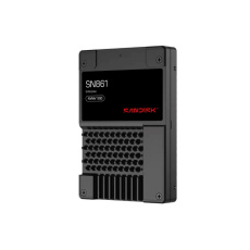 SanDisk Carrera Syndicate SSD 1.92TB DC, SN861, PCIe Gen5, (R:13700, W:3600MB/s), BICS6 TLC NVMe U.2, SE ,Generic SanDisk Carrera Syndicate SSD 1.92TB DC, SN861, PCIe Gen5, (R:13700, W:3600MB/s), BICS6 TLC NVMe U.2, SE ,Generic