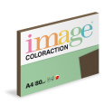 Antalis Papír Image Coloraction Brown - sytá hnědá - papír pro výtvarné potřeby A4 (80g/100ks)
